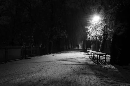 A walk in the snow