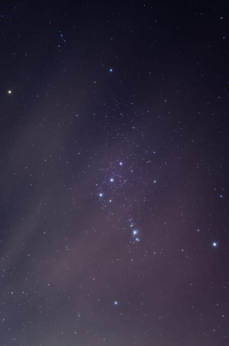 The Orion